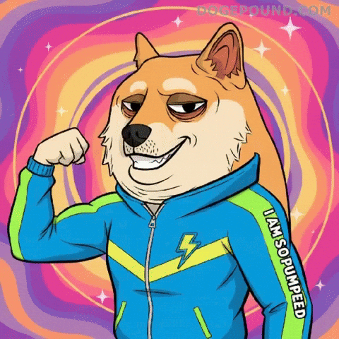 Excited Lets Go GIF by Doge Pound