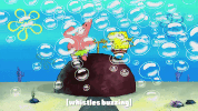 season 10 episode 6 GIF by SpongeBob SquarePants