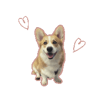 Corgi Love Sticker by Lauranne leest