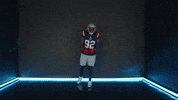 Lets Go Celebration GIF by New England Patriots