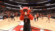 benny the bull nba GIF by Chicago Bulls