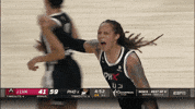 Wnba Playoffs Sport GIF by WNBA