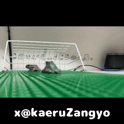 kaeruZangyo giphyupload soccer frog pk GIF