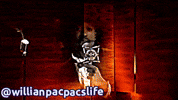 Willianpacpacslife GIF