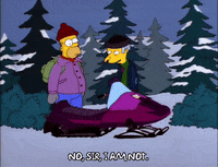 homer simpson GIF