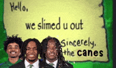 Miami Canes GIF
