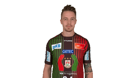 Handball-Bundesliga Handball Sticker by LIQUI MOLY HBL