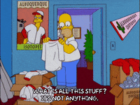 homer simpson GIF