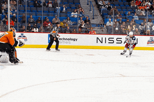 GIF by Hartford Wolf Pack