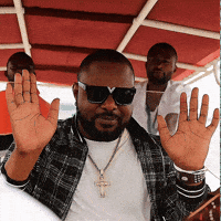 Congo Congolese GIF