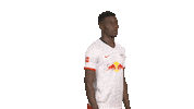 Posing Line Up Sticker by Bundesliga