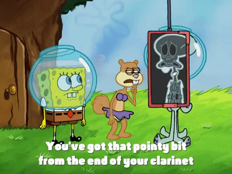 season 4 GIF by SpongeBob SquarePants