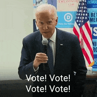 Voting Joe Biden GIF by The Democrats