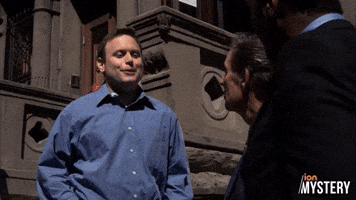 I Buy It Fix It Flip It And Forget About It