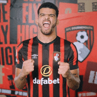Happy Football GIF by AFC Bournemouth