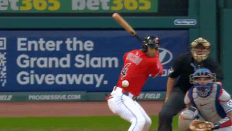 Celebrate Home Run GIF by MLB