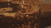 Country Music Official Lyric Video GIF by Parker McCollum