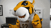 Fun College GIF by Towson University