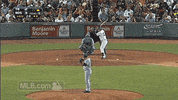 nhl GIF by SB Nation