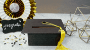 grad getting money GIF by evite