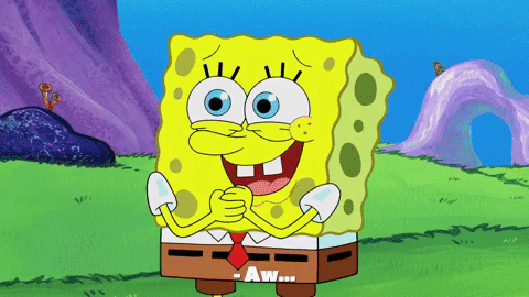 season 9 GIF by SpongeBob SquarePants