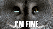 Sad Cry GIF by Honda