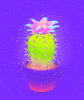 GIF by Michael Shillingburg