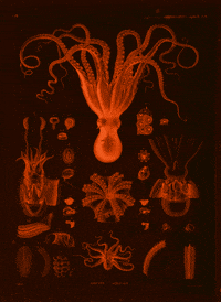 dance sea GIF by A.M.T.G. G.G.