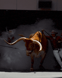 Football Gameday GIF by Texas Longhorns