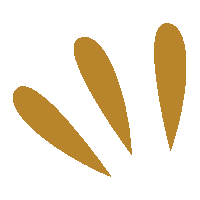 pavolardiseno nature minimal floral ilustracion Sticker