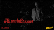 in memoriam banshee GIF by Cinemax