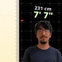 Seven Seven 7 Foot GIF