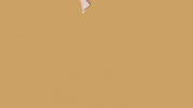 frederator studios animation GIF by Cartoon Hangover