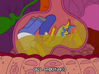 homer simpson episode 13 GIF