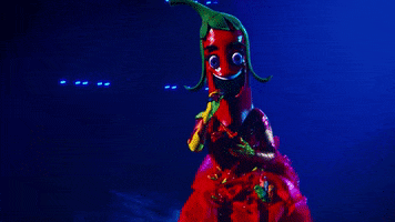 Season 6 Mask GIF by The Masked Singer