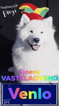 Benji Vastelaovend GIF