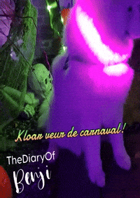 Carnaval GIF