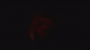 Viva La Vida GIF by Coldplay
