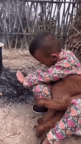 cuteanimalland giphyupload GIF