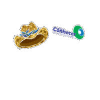 Conhecer Junino Sticker by Colégio Conhecer