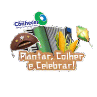 Conhecer Junino Sticker by Colégio Conhecer