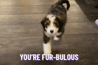 GIF by Planet Fitness