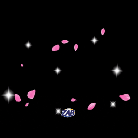 zab_oficial giphyupload GIF