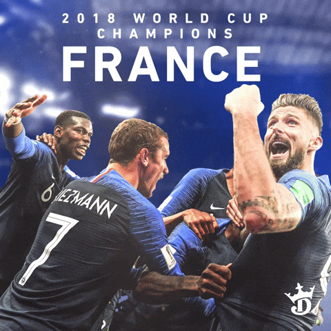 France Soccer GIF by DraftKings