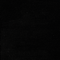 Major League Soccer Football GIF by Austin FC