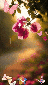 Amigos Flores GIF by Murcianys LLC