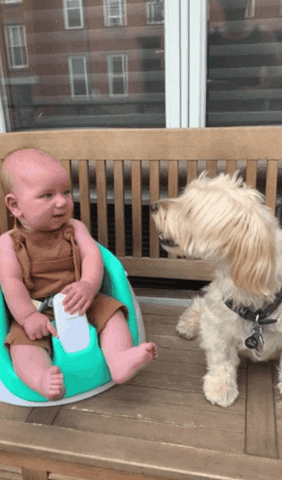 best friends yeah dude GIF by simongibson2000