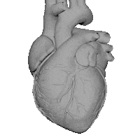 Animation Heart Sticker by alperdurmaz