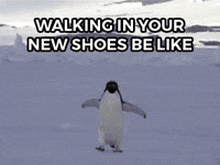 shoes sneakers GIF by shoephoric