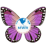Dfmwr Sticker by FLW MWR - Army